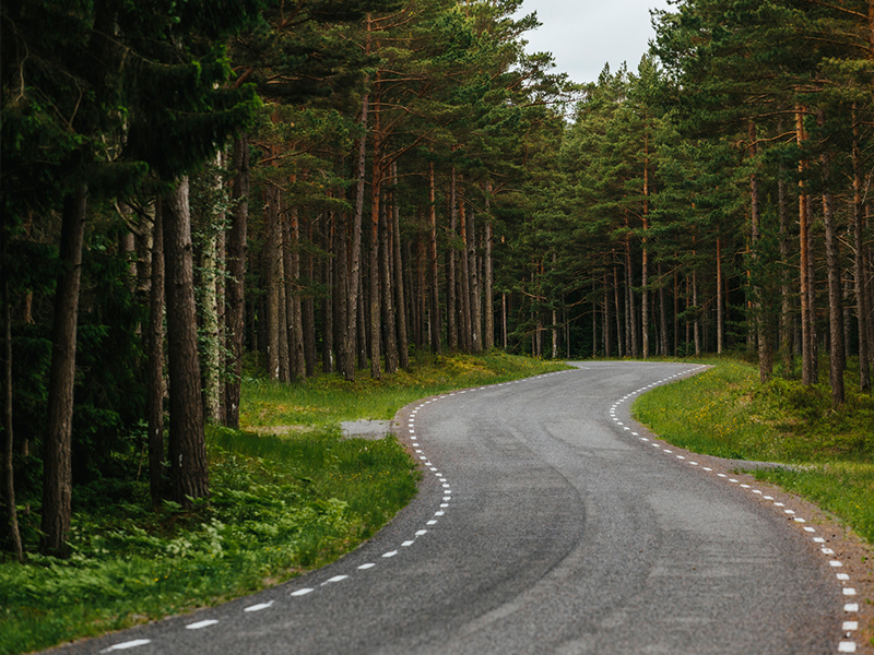 Beeld Estonia Tgnfritom